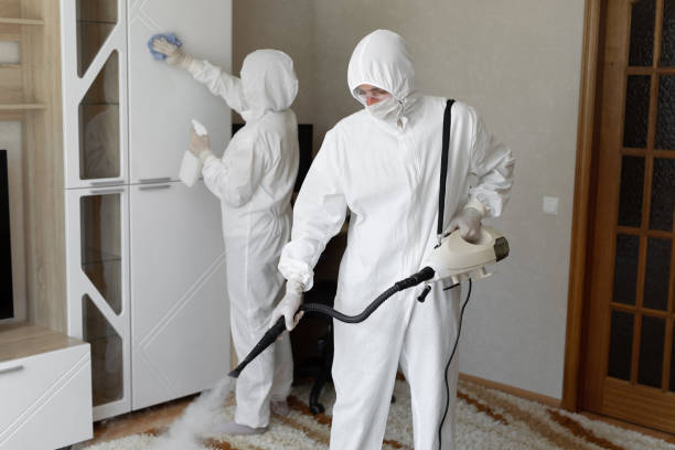24/7 Emergency Odor Removal experts in Acton, ME