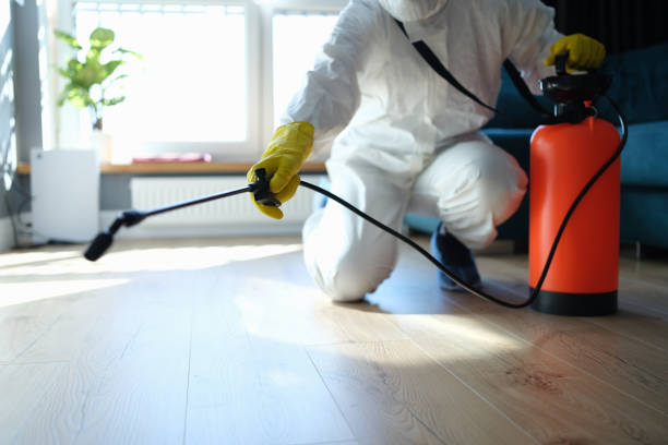 Reliable Odor Removal contractor in Acton, ME by Dulley Family Biohazard Services